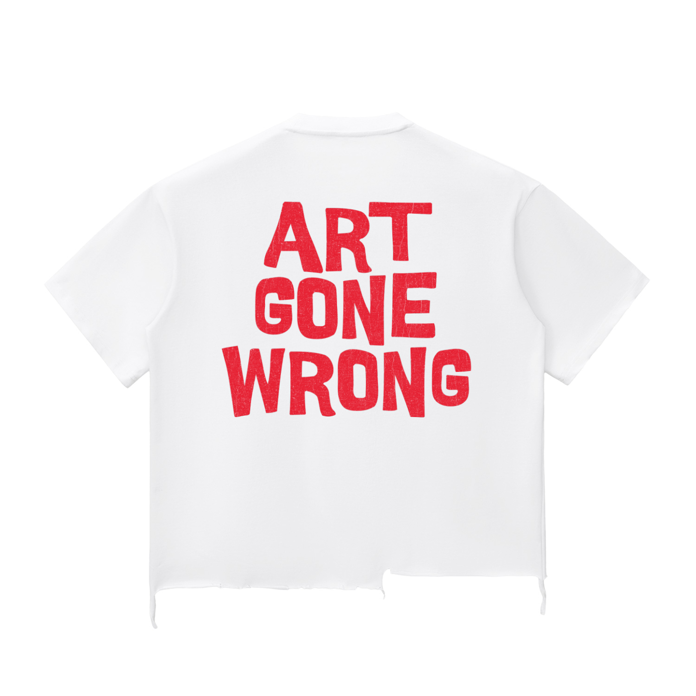ART GONE WRONG SNOW WASH RAW HEM BOXY TEE